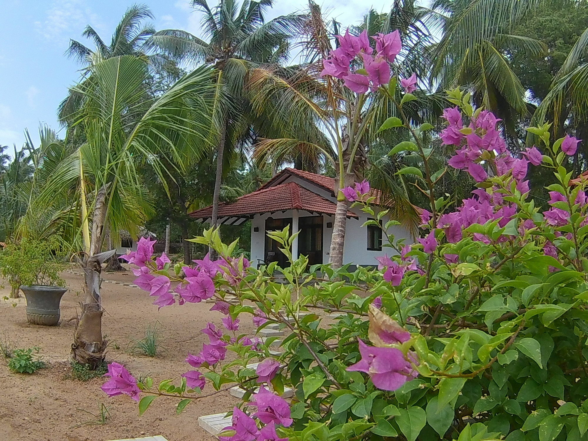 Chillenjoy Cabanas & Restaurant Tangalle Exterior photo